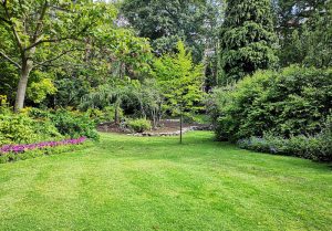 Optimiser l'expérience du jardin à Tonnay-Boutonne